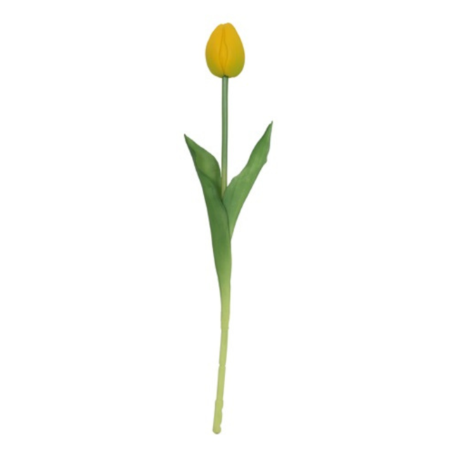 Pioen tulp geel 43cm