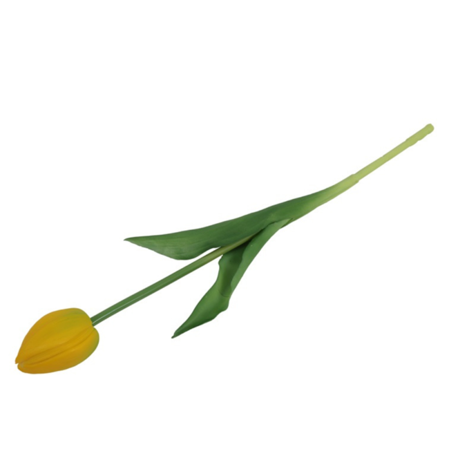 Pioen tulp geel 43cm