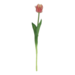 Parkiet tulp zalm / crème 47cm