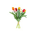 Tulpen boeket gemengde kleuren 7 stuks 28 cm