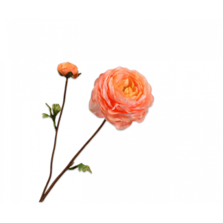 Silk-Ka RANONKEL TAK ZALM 65 cm