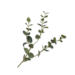 Silk-Ka EUCALYPTUS TAK GRN/GRS 79 cm