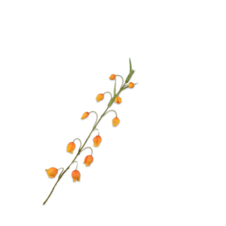 Silk-Ka SANDERSONIA TAK ORANJE 85 cm