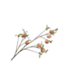 Silk-Ka PERZIK TAK RD/BRD 124 cm
