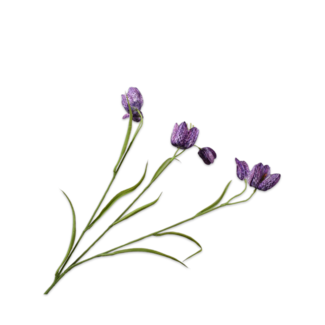 Silk-Ka FRITILLARIA TAK PAARS 64 cm