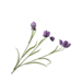 Silk-Ka FRITILLARIA TAK PAARS 64 cm