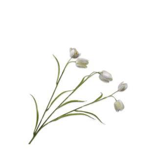 Silk-Ka FRITILLARIA TAK CR/GRN 64 cm