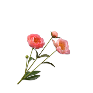 Silk-Ka PIOEN TAK ZALM RT 66 cm