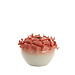 Light & Living Vaas deco Ø40x27 cm FISH keramiek koraal + crème