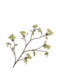 Silk-Ka ESDOORN TAK GROEN 110 cm