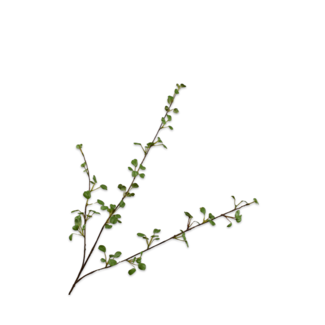 Silk-Ka BLADTAK GROEN 86 cm