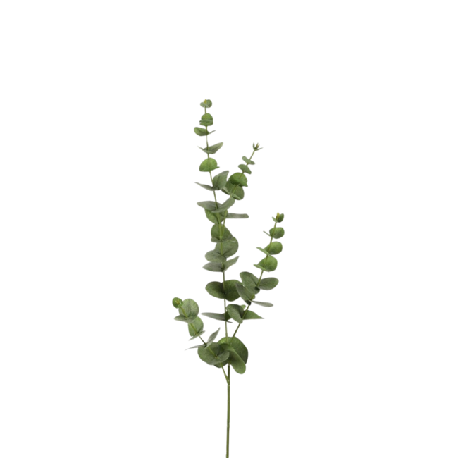 Eucalyptus Spray Green 81 cm