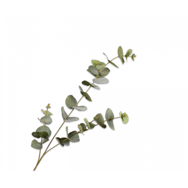 Silk-Ka EUCALYPTUS TAK GROEN 86 cm
