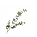 Silk-Ka EUCALYPTUS TAK GROEN 86 cm