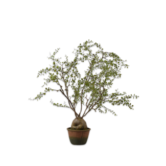 Silk-Ka PLANT GROEN 86 cm