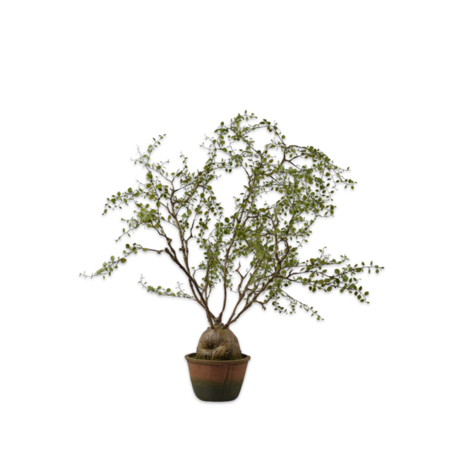 Silk-Ka PLANT GROEN 86 cm