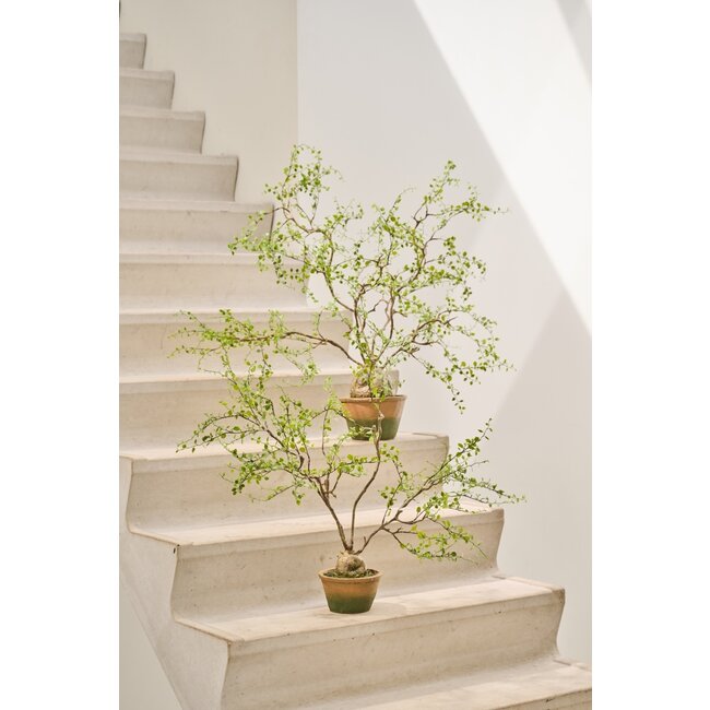 Silk-Ka PLANT GROEN 86 cm