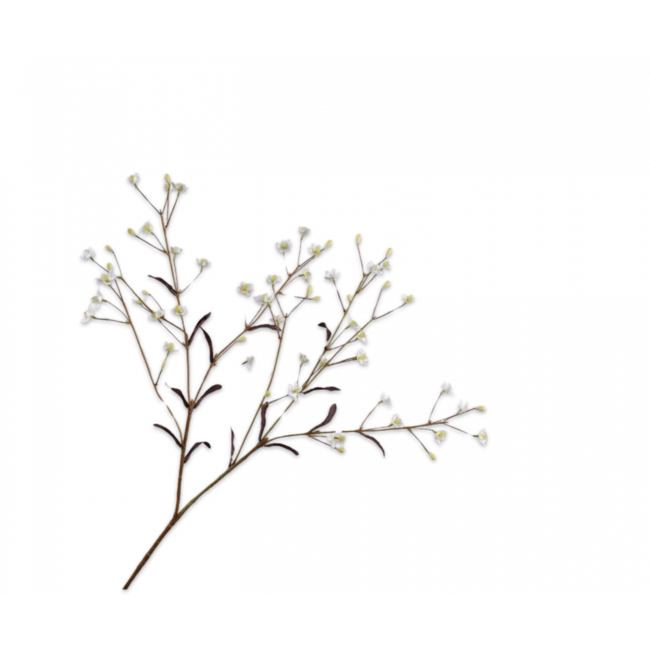 Silk-Ka THALICTRUM TAK WIT 89 cm