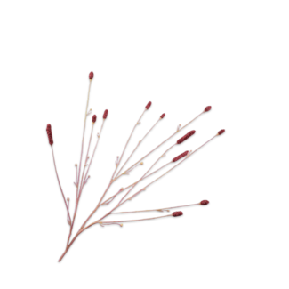 Silk-Ka PIMPERNEL TAK ROOD 84 cm