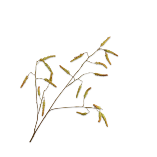 Silk-Ka WILGENTAK TAK GRN/BRN 95 cm