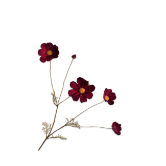 Silk-Ka COSMOS TAK BORDEAUX 92 cm