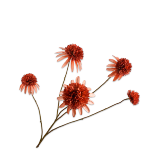 Silk-Ka RUDBECKIA TAK ORA/RD 90 cm Silk-Ka RUDBECKIA TAK ORA/RD 90 cm