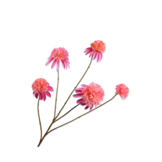 Silk-Ka RUDBECKIA TAK ROZE 90 cm