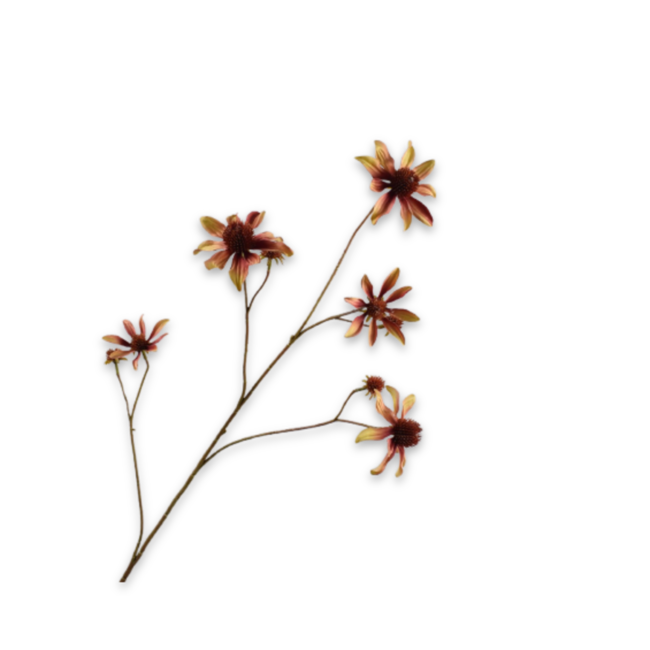 Silk-Ka RUDBECKIA TAK CR/BRN 91 cm