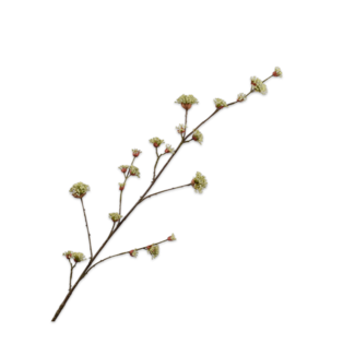 Silk-Ka DOGWOOD TAK CR/GRN 122 cm