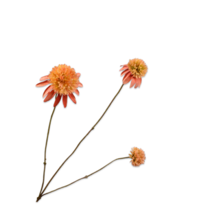 Silk-Ka RUDBECKIA TAK ZALM 66 cm