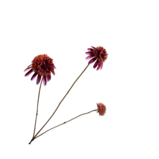 Silk-Ka RUDBECKIA TAK PAARS 66 cm