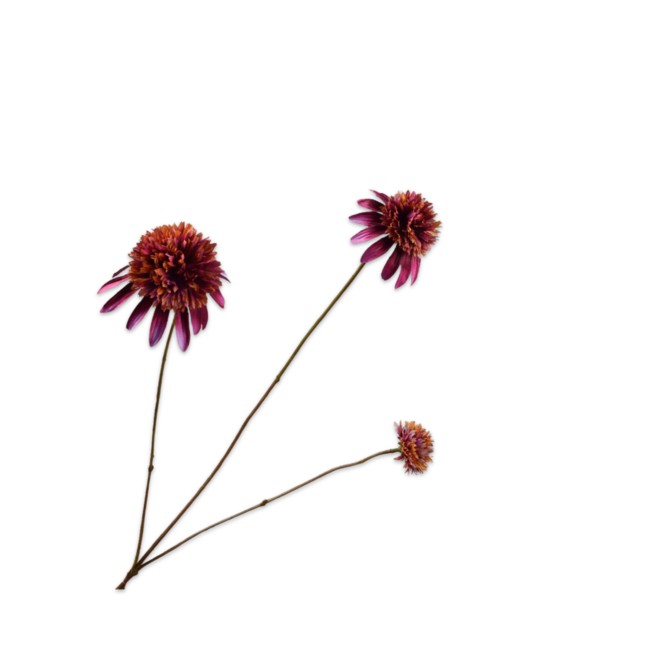 Silk-Ka RUDBECKIA TAK PAARS 66 cm