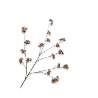 Silk-Ka BLOESEM TAK GOUD 119 cm