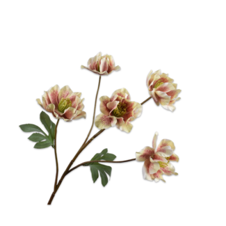 Silk-Ka HELLEBORUS TAK MVE/GRN 78 cm