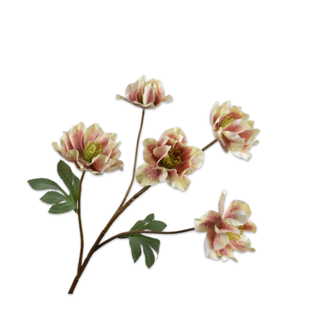 Silk-Ka HELLEBORUS TAK MVE/GRN 78 cm