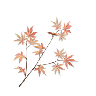 Silk-Ka BLADTAK PZK/GL 96 cm