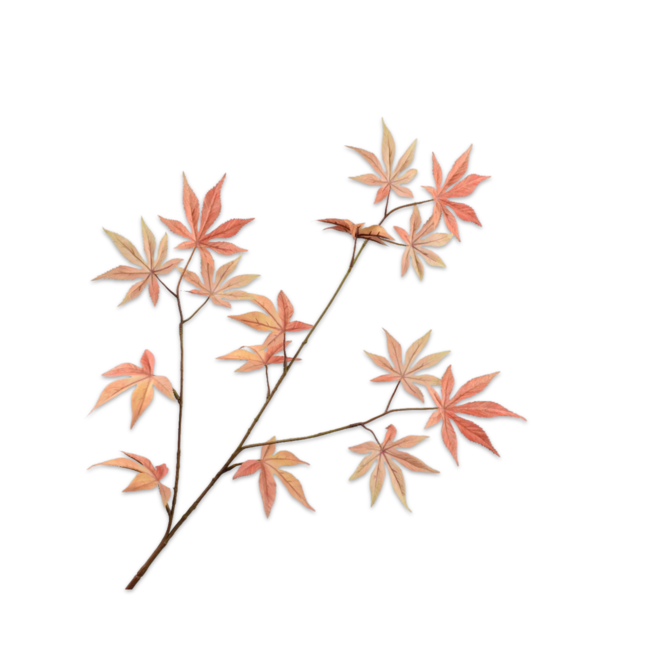 Silk-Ka BLADTAK PZK/GL 96 cm