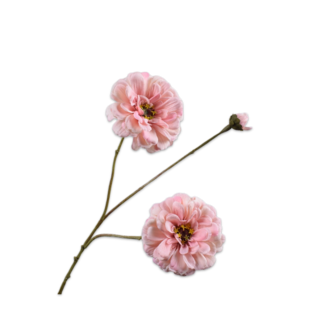 Silk-Ka ZINNIA TAK ROZE 66 cm