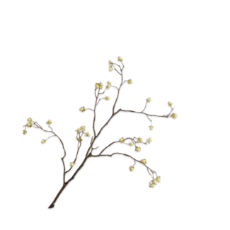 Silk-Ka BESSENTAK CREME 88 cm