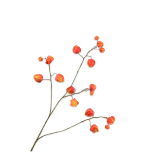 Silk-Ka PHYSALIS TAK ORANJE 92 cm