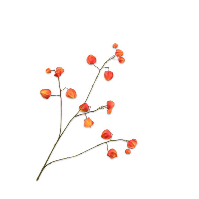 Silk-Ka PHYSALIS TAK ORANJE 92 cm