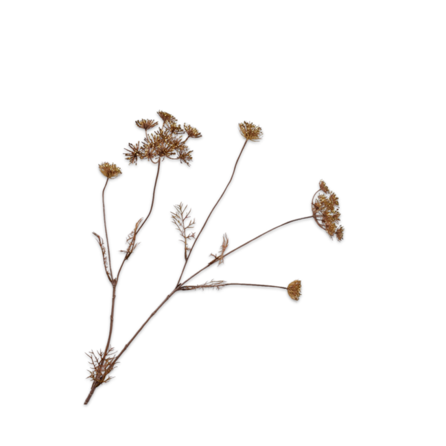 Silk-Ka DILLE TAK GOUD 100 cm