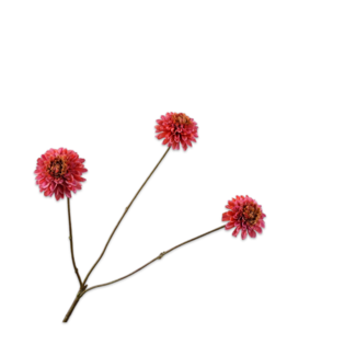 Silk-Ka DAHLIA TAK BEAUTY 65 cm