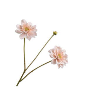 Silk-Ka DAHLIA TAK BRN LT 75 cm