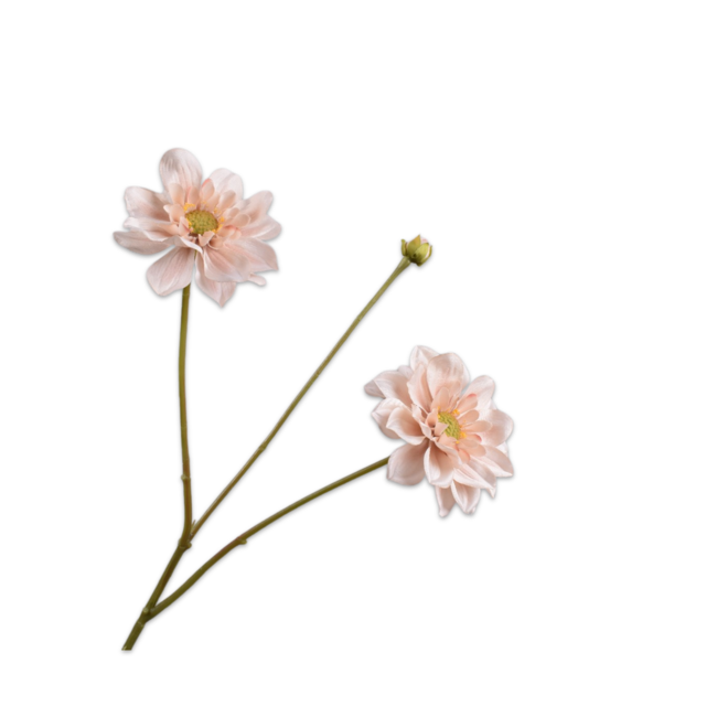 Silk-Ka DAHLIA TAK BRN LT 75 cm