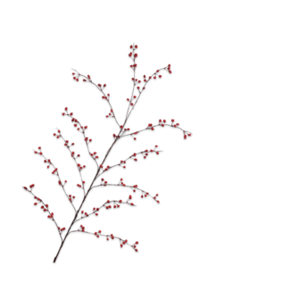 Silk-Ka BESSENTAK ROOD 137 cm