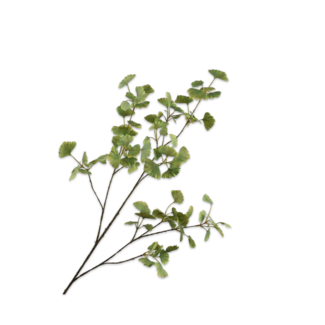 Silk-Ka GINKGO TAK GRN LT 115 cm