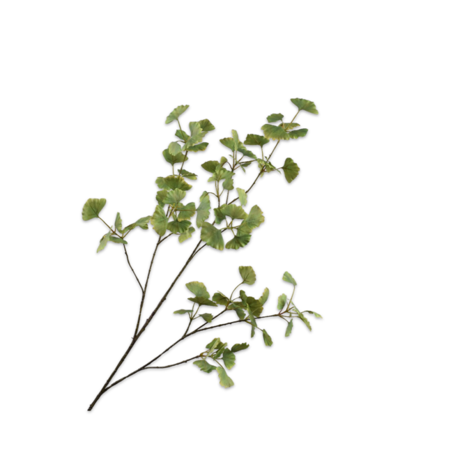 Silk-Ka GINKGO TAK GRN LT 115 cm