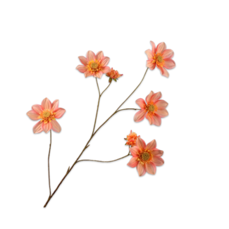 Silk-Ka DAHLIA TAK PERZIK 107 cm