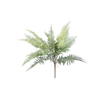 PTMD Fern Plant Moss Green fern bush Large L PTMD Fern Plant Moss Green fern bush Large L